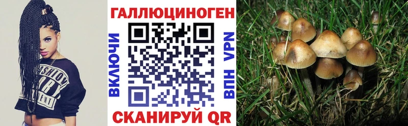 даркнет сайт  Новодвинск  кракен зеркало  Псилоцибиновые грибы прущие грибы 